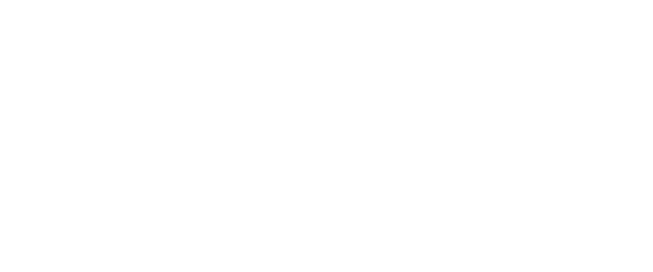 shopify plus partner agentur online shop system ecommerce