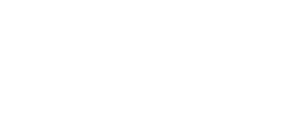 shopify plus online shop system ecommerce